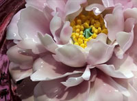 新聞｜我公司當(dāng)選河南省人民對(duì)外友好協(xié)會(huì)理事單位，創(chuàng)始人李治國(guó)當(dāng)選理事并接受河南日?qǐng)?bào)與河南衛(wèi)視的采訪(fǎng)。